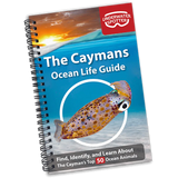 Underwater Spotter Interactive Fish ID Guides