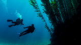 Deep Diver Specialty