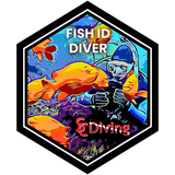 PADI AWARE Fish ID Class