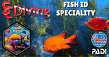 PADI AWARE Fish ID Class