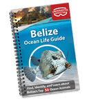 Underwater Spotter Interactive Fish ID Guides