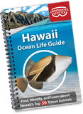 Underwater Spotter Interactive Fish ID Guides