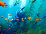 PADI AWARE Fish ID Class
